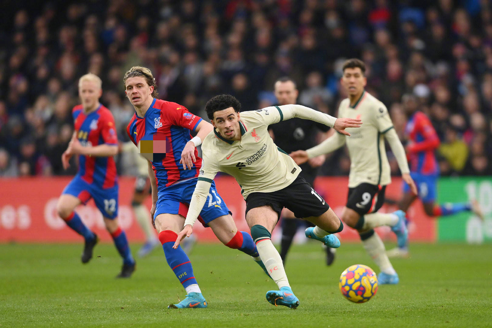 几乎垄断了 几乎垄断了